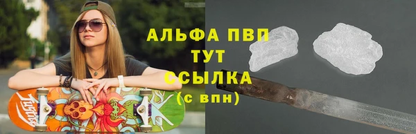СК Балашиха
