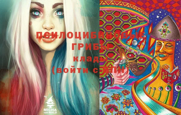 индика Кукмор