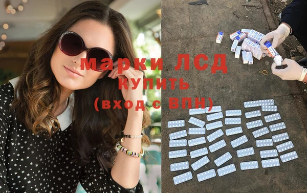 индика Кукмор