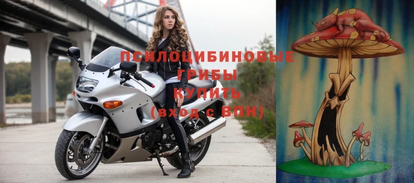 индика Кукмор