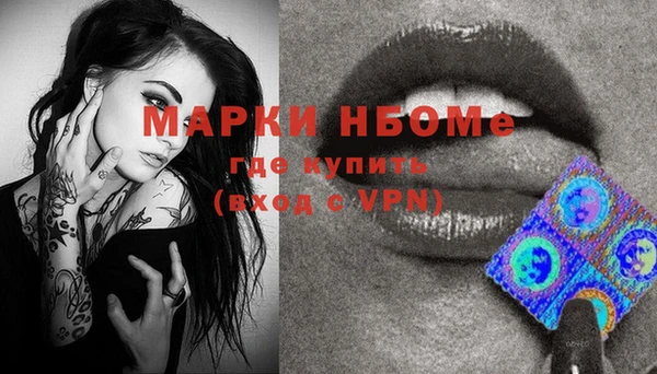 индика Кукмор